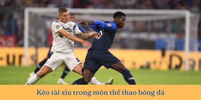 tài xỉu 2 2.5